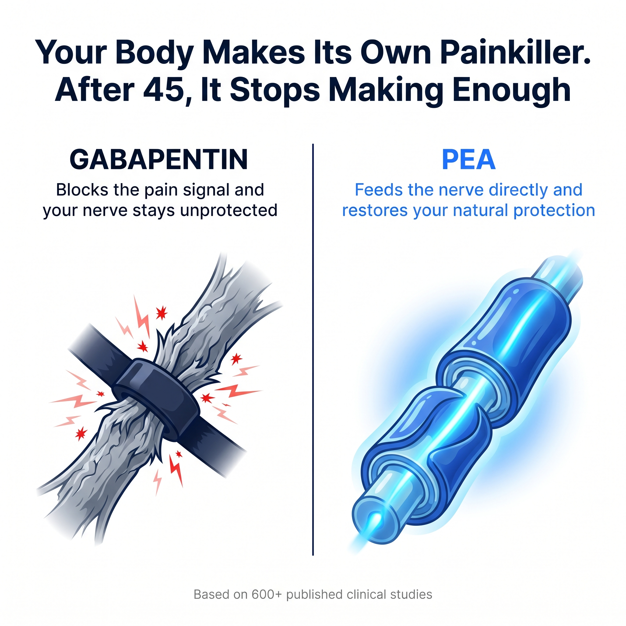 Your body makes its own painkiller - after 45 it stops. Gabapentin vs PEA nerve comparison